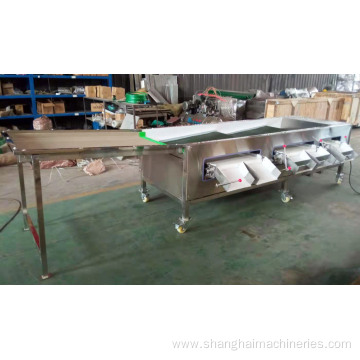 Blueberry Sorting Machine Grading Machine